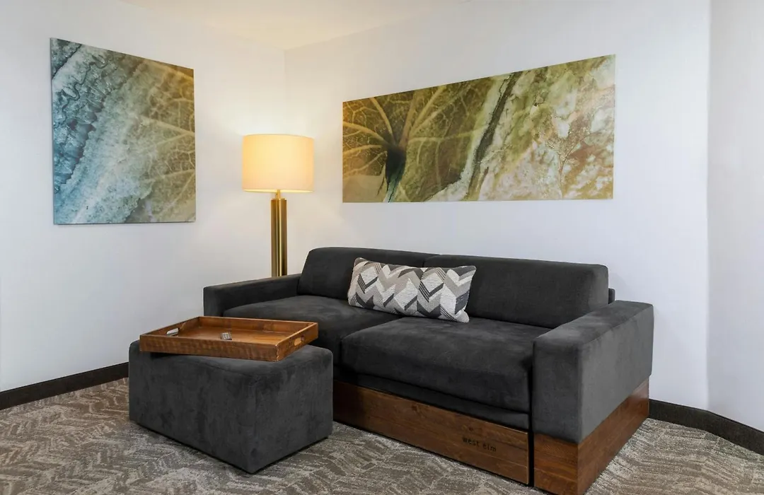 Springhill Suites By Marriott Sioux Falls-1