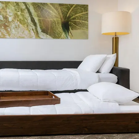 Springhill Suites By Marriott Sioux Falls-3